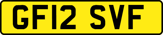 GF12SVF