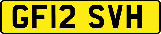 GF12SVH