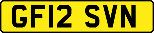 GF12SVN