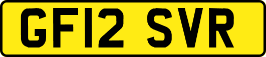 GF12SVR