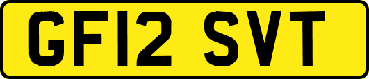 GF12SVT
