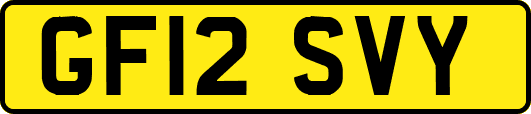 GF12SVY