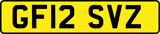 GF12SVZ