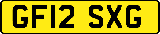 GF12SXG