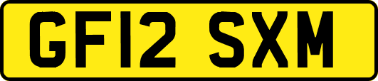 GF12SXM