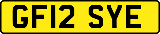 GF12SYE