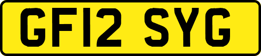 GF12SYG