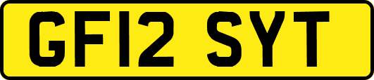 GF12SYT