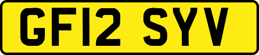 GF12SYV