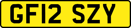 GF12SZY