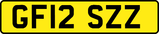 GF12SZZ