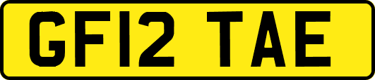 GF12TAE