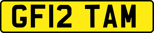 GF12TAM