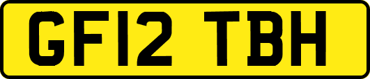 GF12TBH