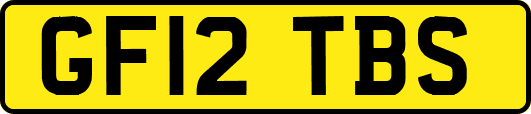 GF12TBS