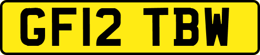 GF12TBW