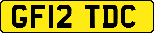 GF12TDC