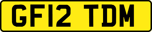 GF12TDM