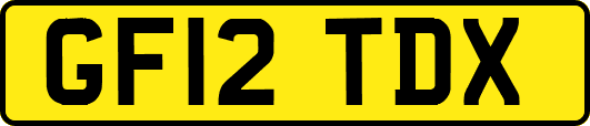 GF12TDX