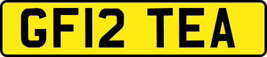 GF12TEA