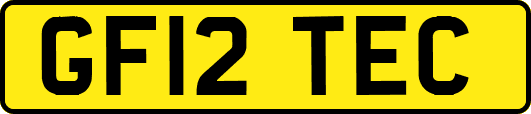 GF12TEC