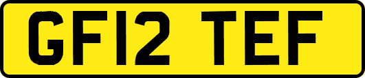 GF12TEF