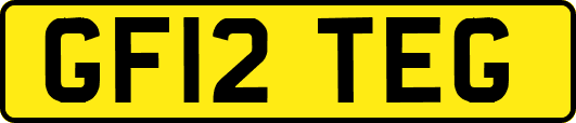 GF12TEG