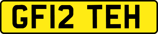 GF12TEH