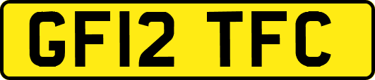 GF12TFC