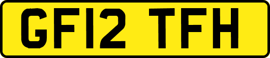 GF12TFH