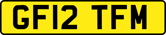 GF12TFM