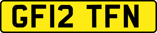 GF12TFN