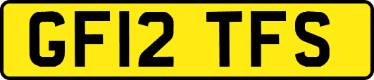 GF12TFS