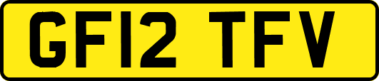 GF12TFV