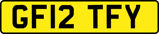 GF12TFY