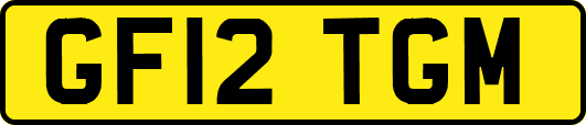 GF12TGM