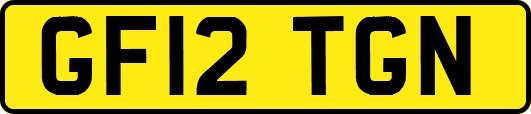 GF12TGN