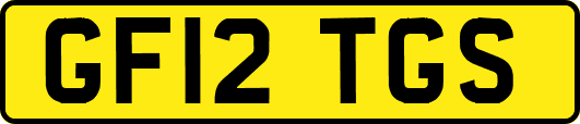 GF12TGS