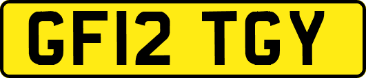 GF12TGY