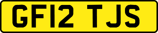 GF12TJS