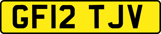 GF12TJV