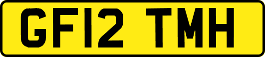 GF12TMH