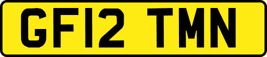 GF12TMN