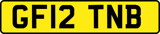 GF12TNB