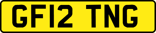 GF12TNG