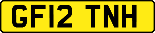 GF12TNH