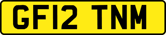 GF12TNM
