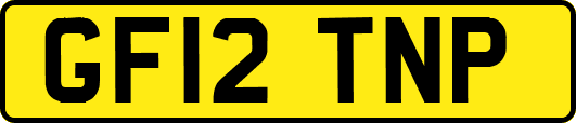 GF12TNP