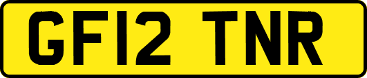 GF12TNR
