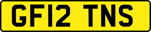 GF12TNS
